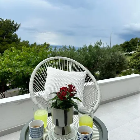 Olive View 布雷拉
